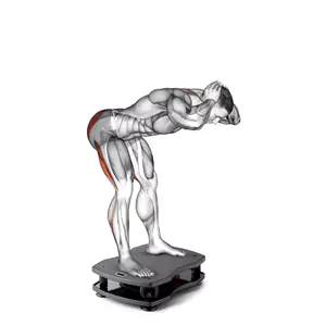 hamstring-stretch on vibration plate